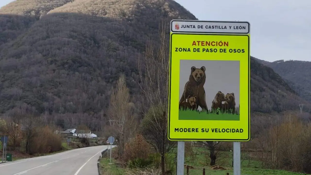 Se&ntilde;al de aviso por osos en Rabanal de Abajo (Le&oacute;n)