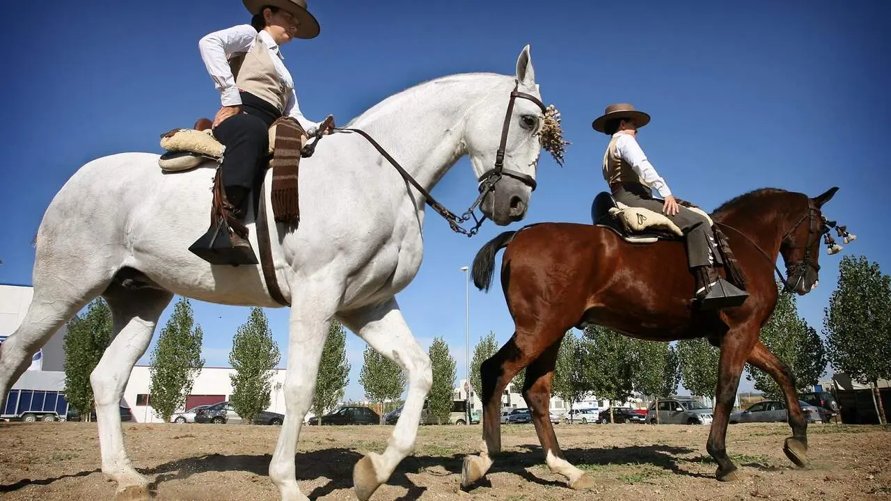 Concurso Nacional de Doma Vaquera de la VII Feria del Caballo celebrada en Ciudad Rodrigo (Salamanca). Foto: Ical.