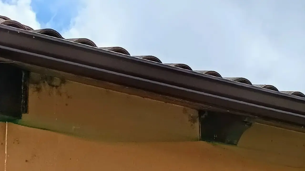 Sacrificio Cero denuncia el uso de redes para evitar el anidamiento de aves en la Casa de la Cultura de Moz&oacute;ndiga. Foto: Sacrificio Cero Le&oacute;n.