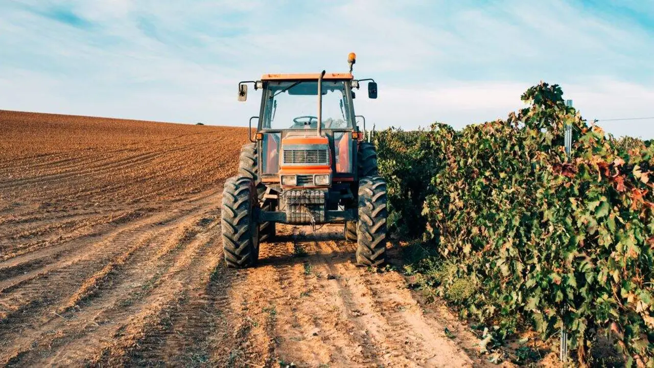 Tractor in a vineyard