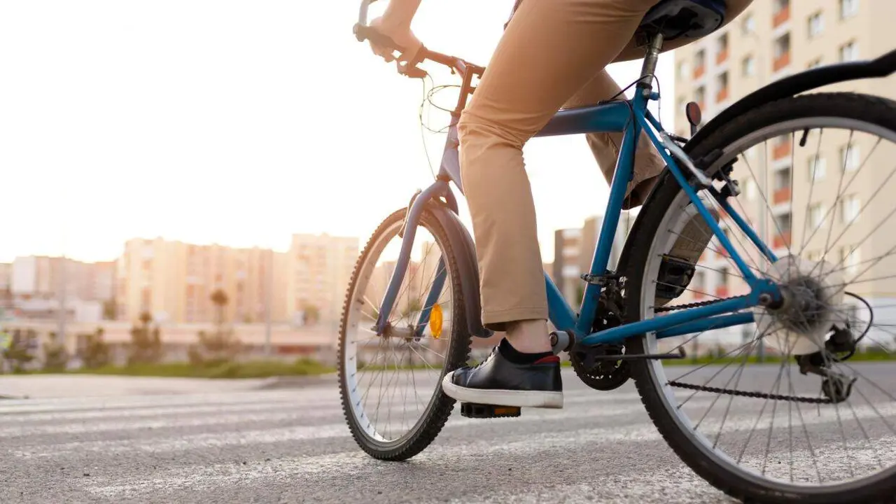 d&iacute;a de la bici
