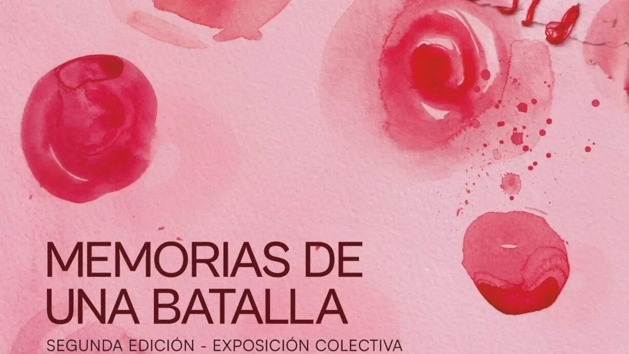 Memorias de una batalla