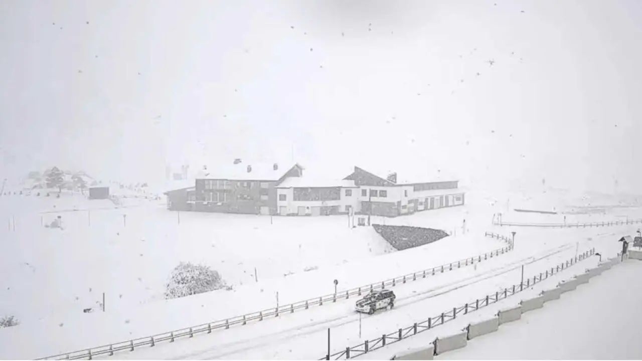 nieve