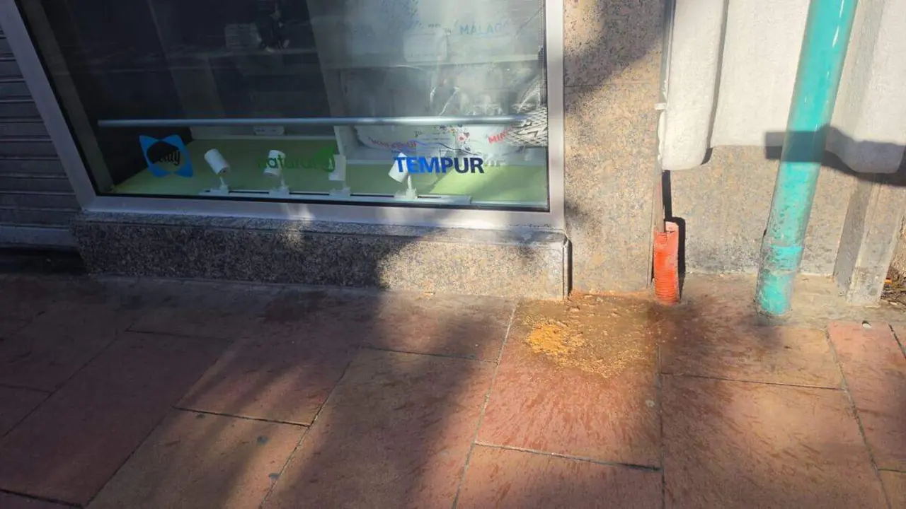 suciedad en las calles del centro (12)