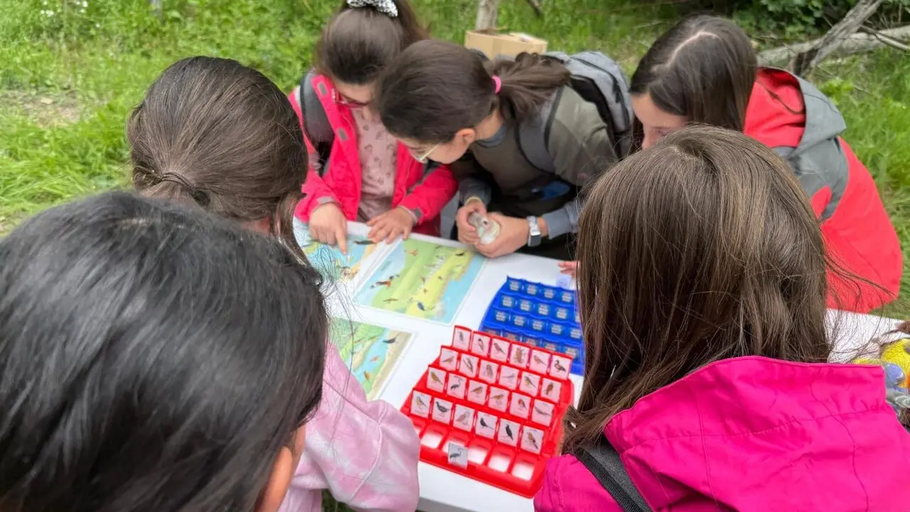 La CHMS ayuda a los escolares a conocer su entorno fluvial con una visita al r&iacute;o Ancares en Vega de Espinareda. Fotos: Subdelegaci&oacute;n del Gobierno.