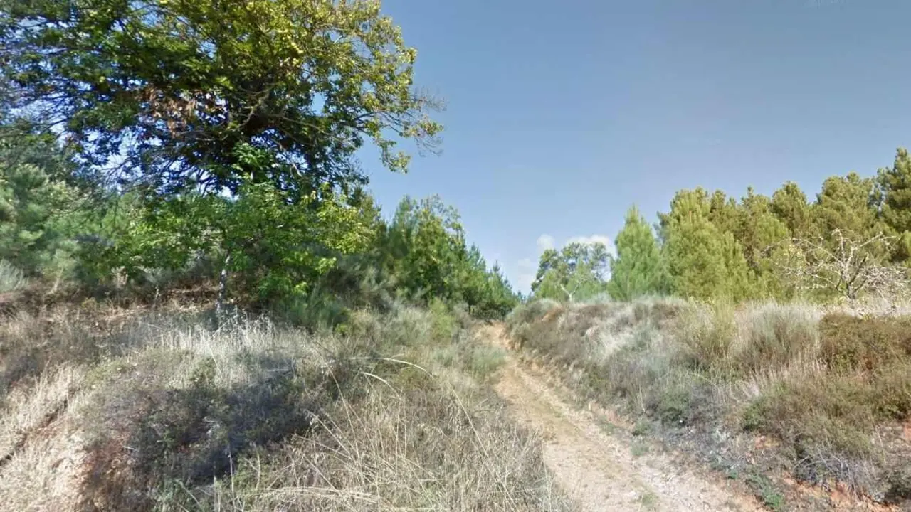 Camino rural en el municipio de Arganza.