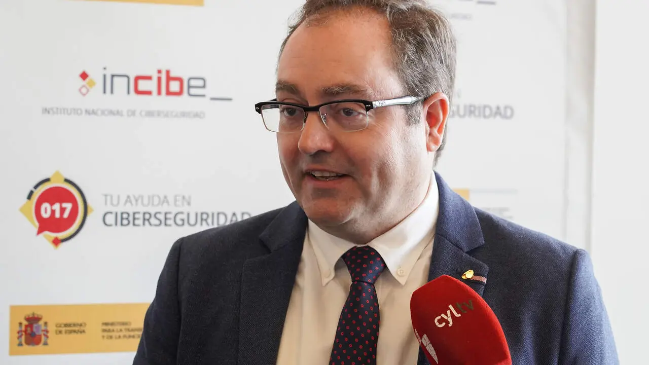 El director del Incibe, F&eacute;lix Barrio.