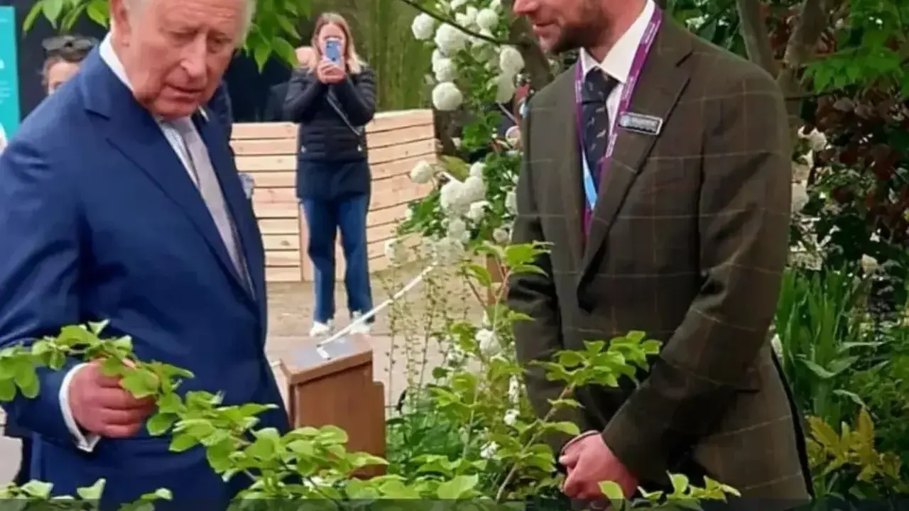 Carlos III en el momento de recibir el '&aacute;rbol de hierro' que la localidad leonesa de Lug&aacute;n tiene desde hace a&ntilde;os.