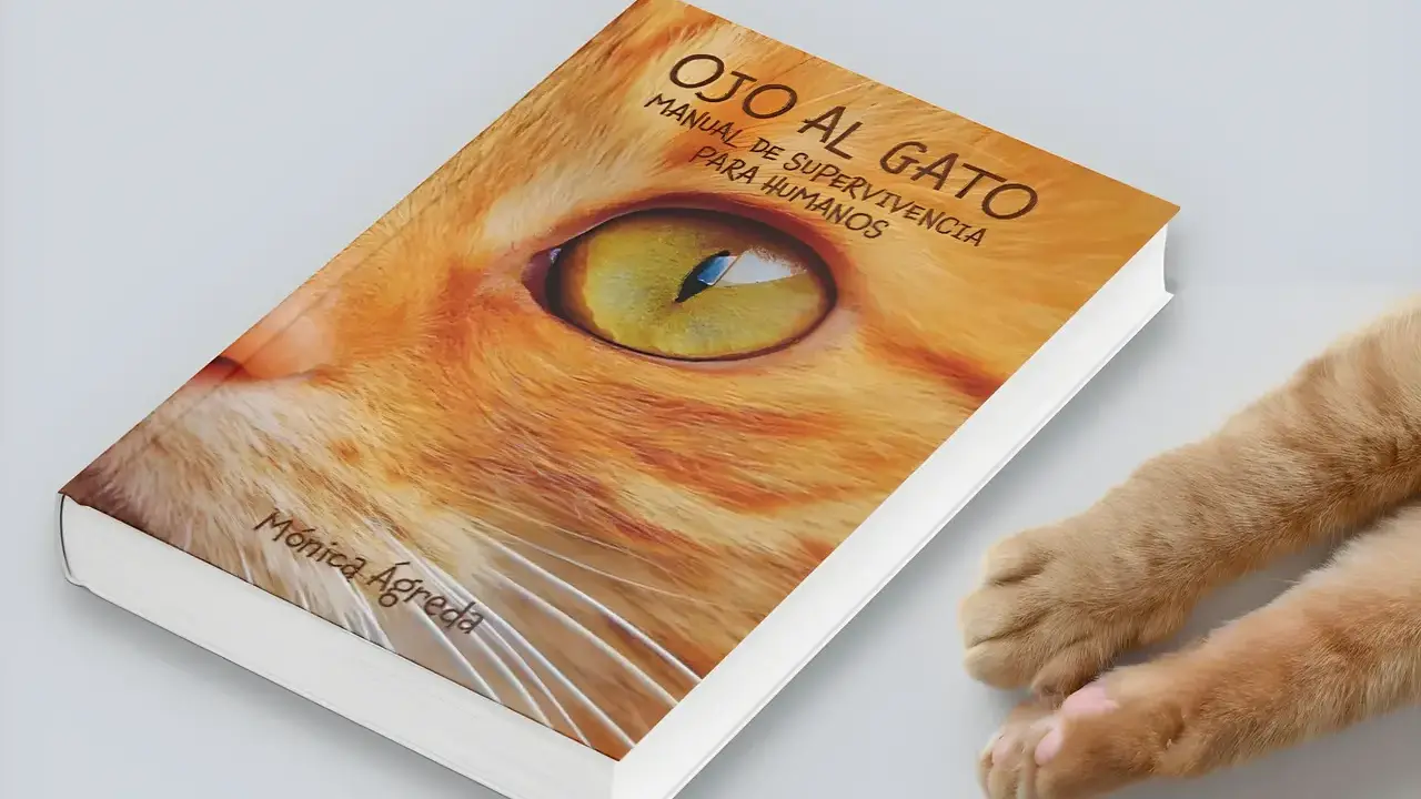 ojo al gato