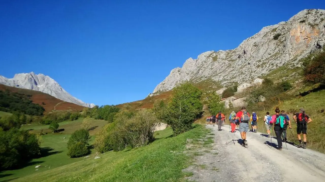 ruta