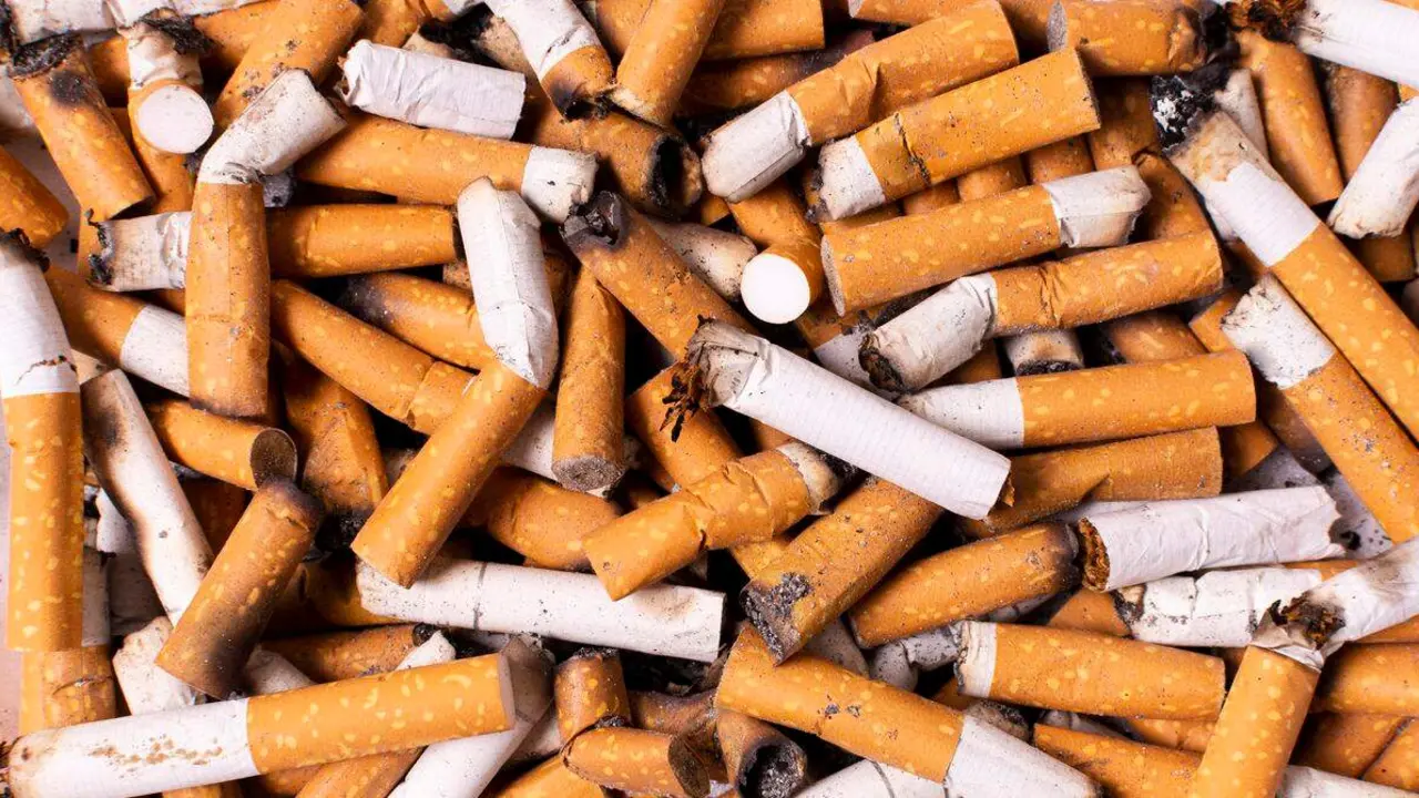 tabaco 2