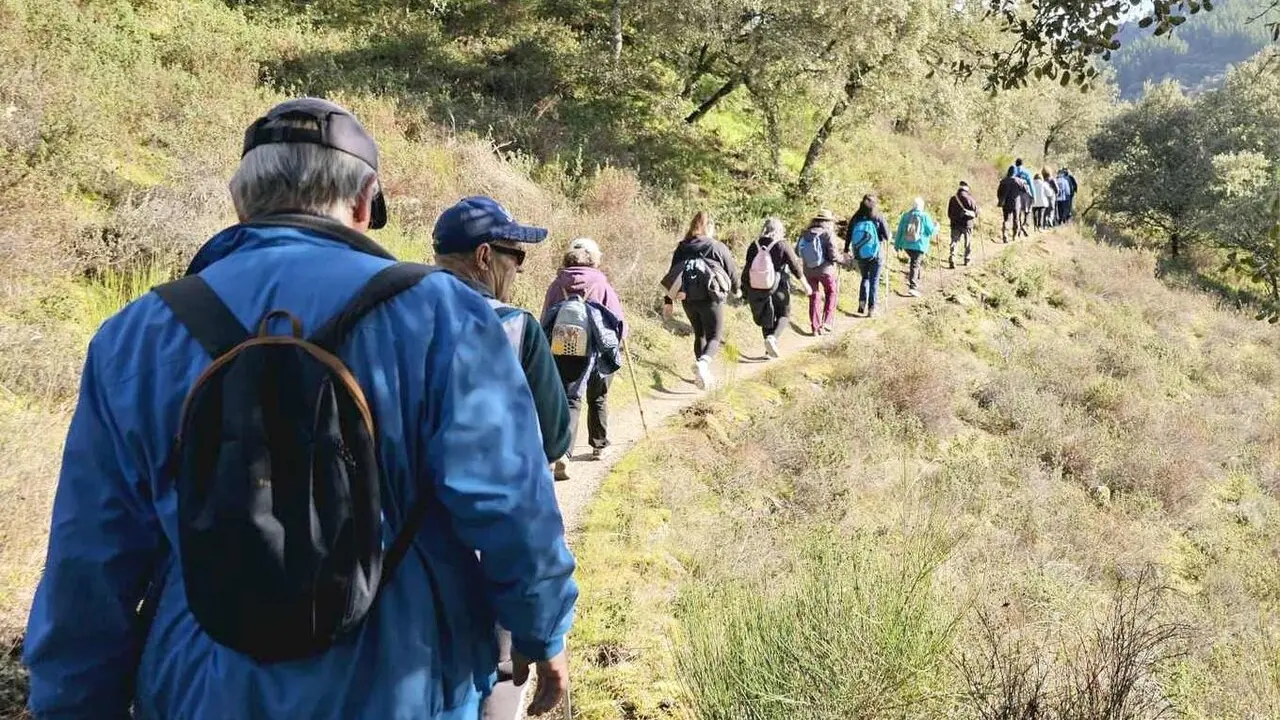 Camino para la Diabetes (1)