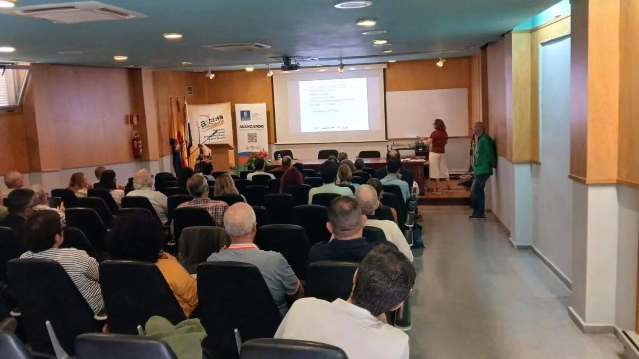Jornada Canarias Consejo Comarcal