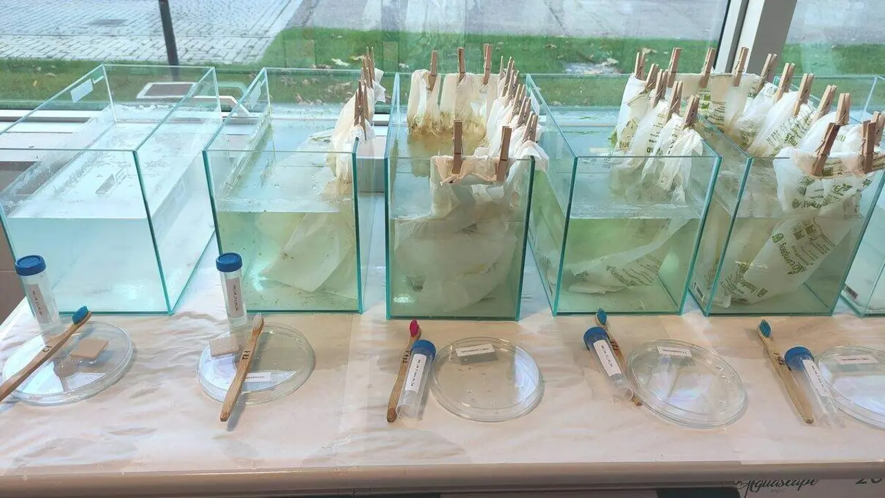 Cultivos experimentales instalados en los centros educativos 1
