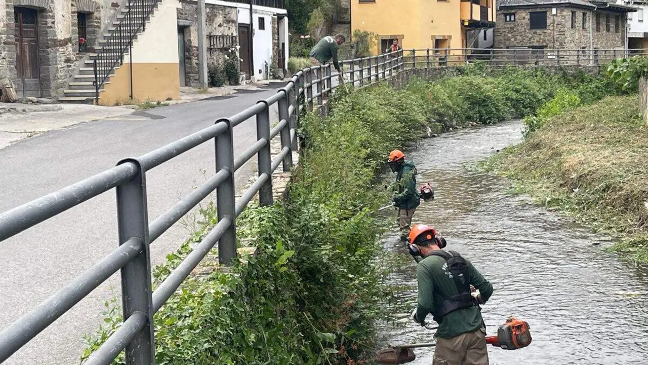 Alumnos del taller La Tebaida desbrozan la ribera del r&iacute;o Oza en Valdefrancos (Le&oacute;n)