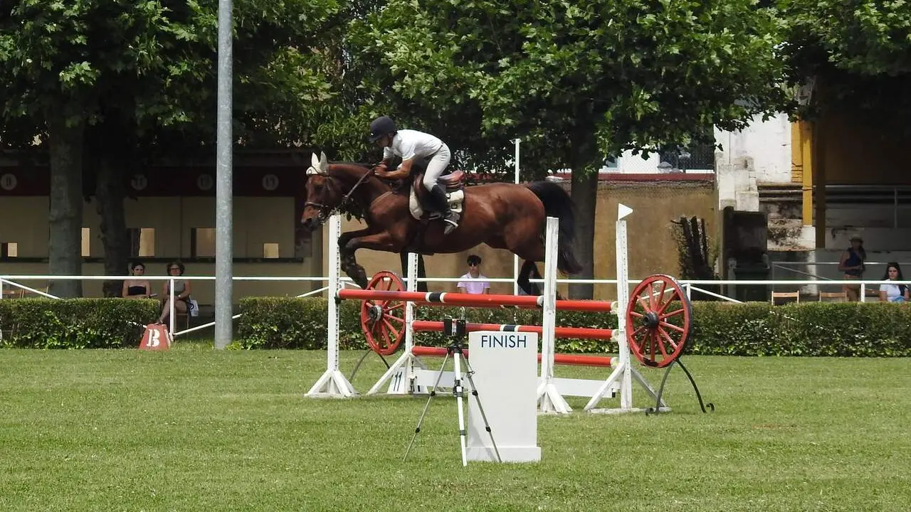 hipico