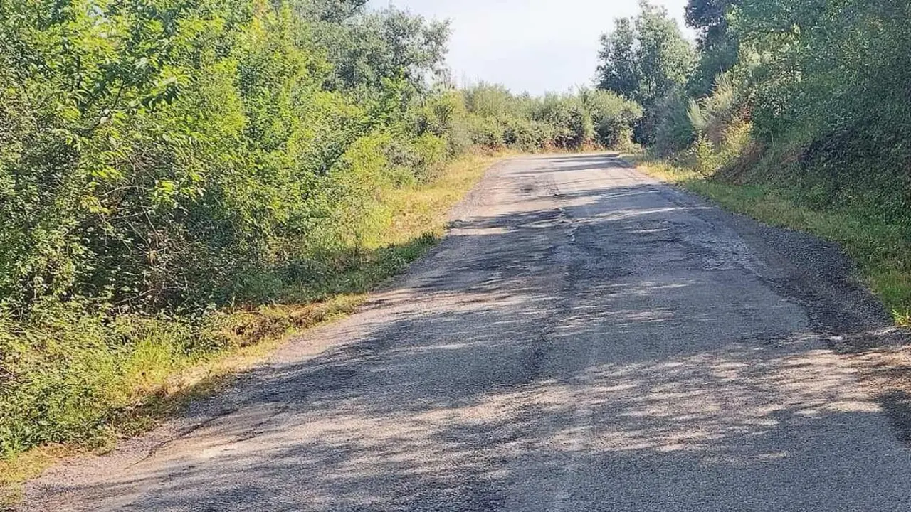 Imagen del apreciable deterioro en los viales en una fotograf&iacute;a facilitada por el PP.