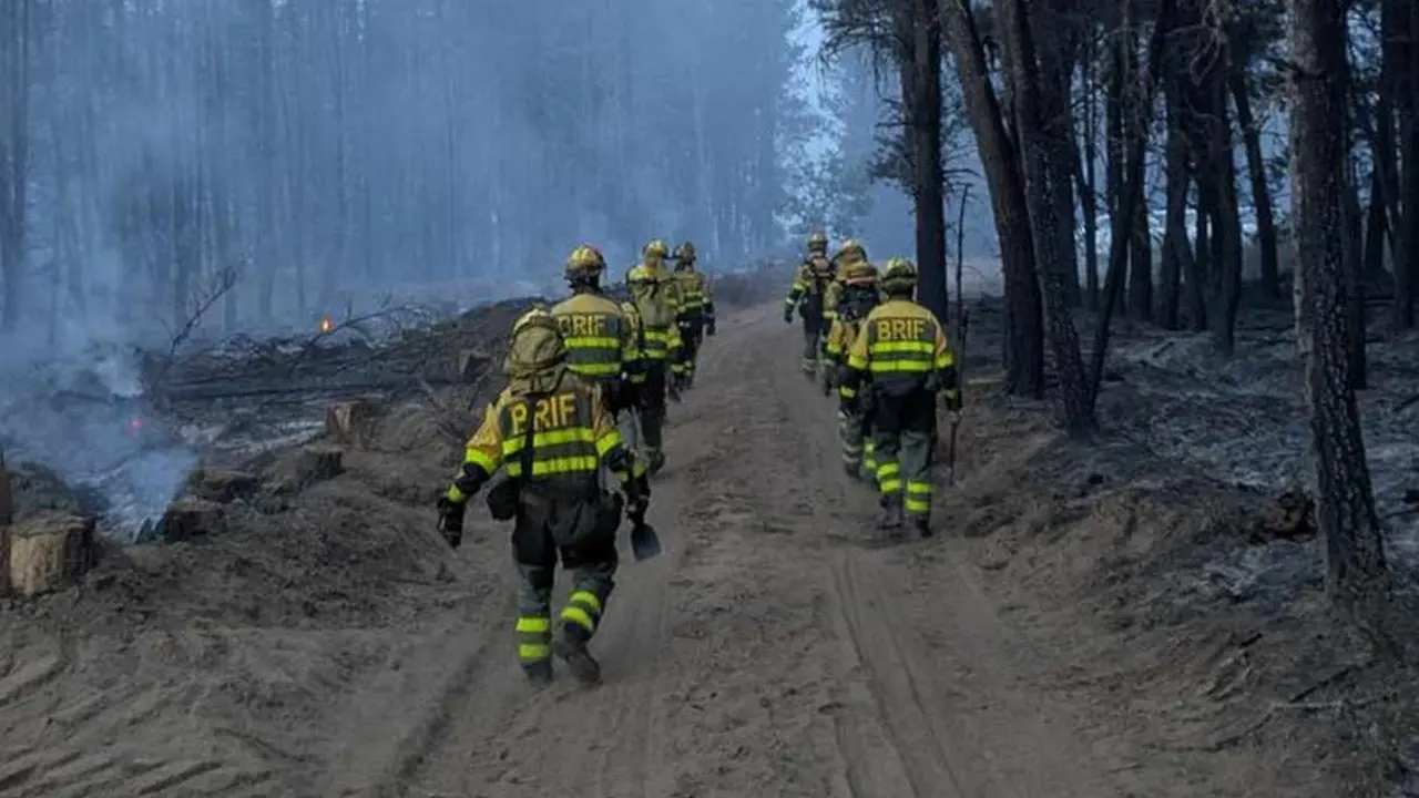 Brigadistas interviniendo en la zona del incendio a &uacute;ltima hora de este viernes.