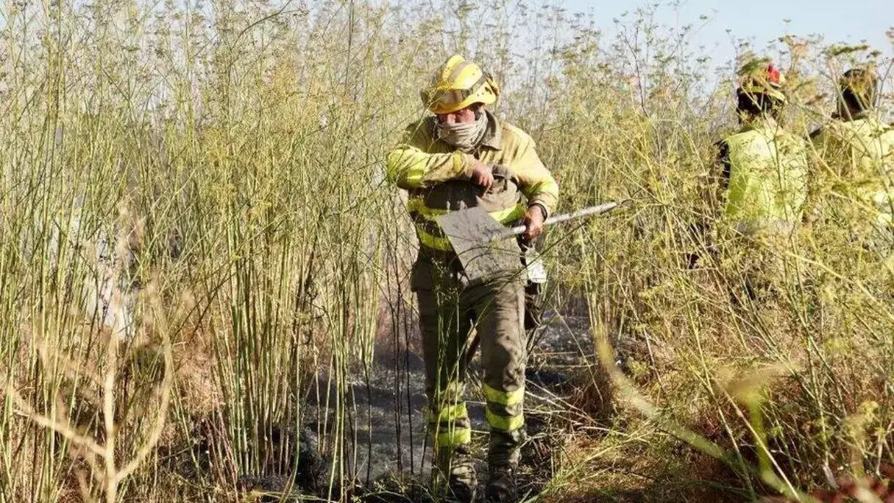 bombero forestal