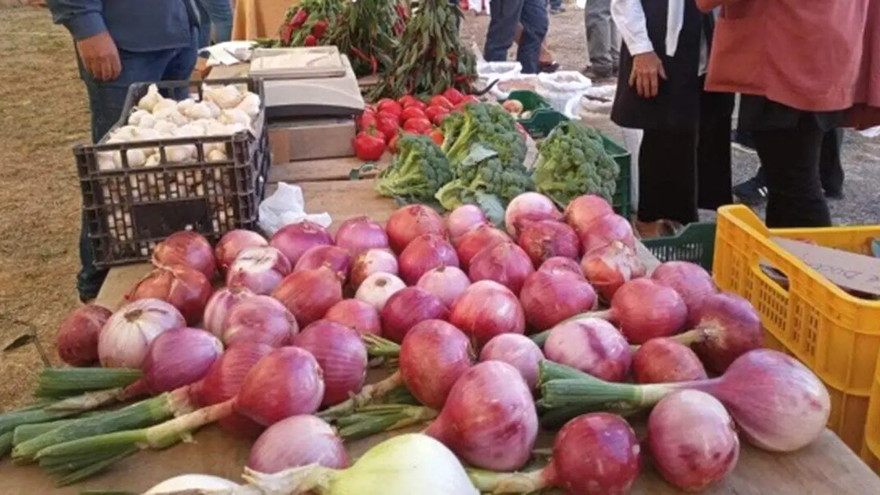 feria agropecuaria