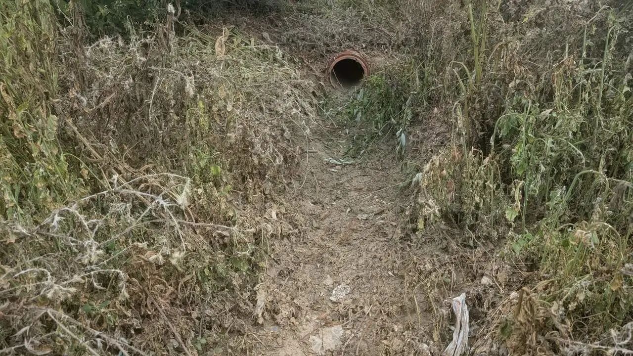 El PSOE de Valverde de la Virgen traslada al Seprona posibles irregularidades en la red de saneamiento de San Miguel del Camino. Foto: PSOE.