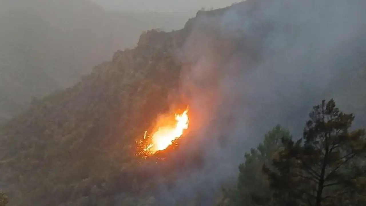 Imagen de uno de los incendios provocados por los rayos.
