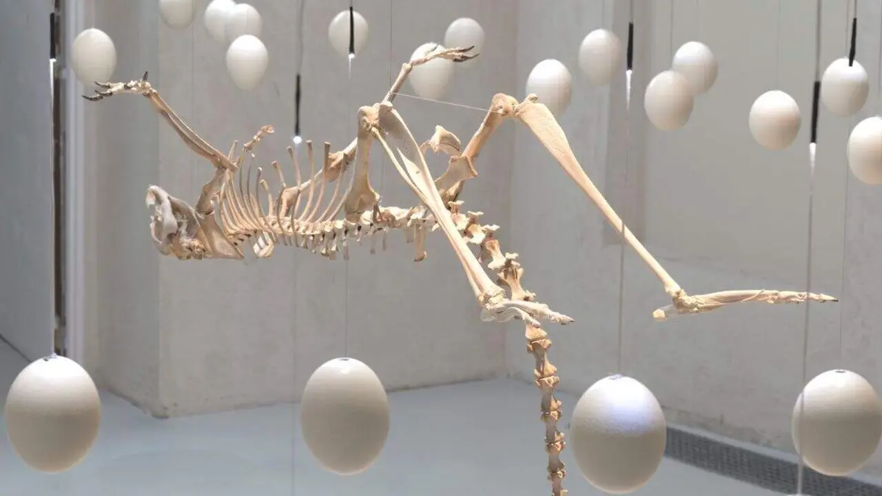 &lsquo;Zoofuturismo&rsquo;