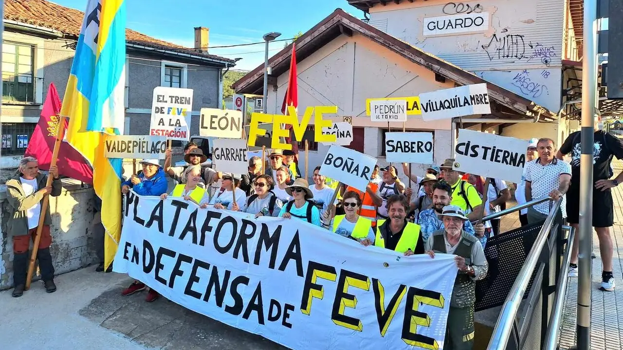 Feve (5)
