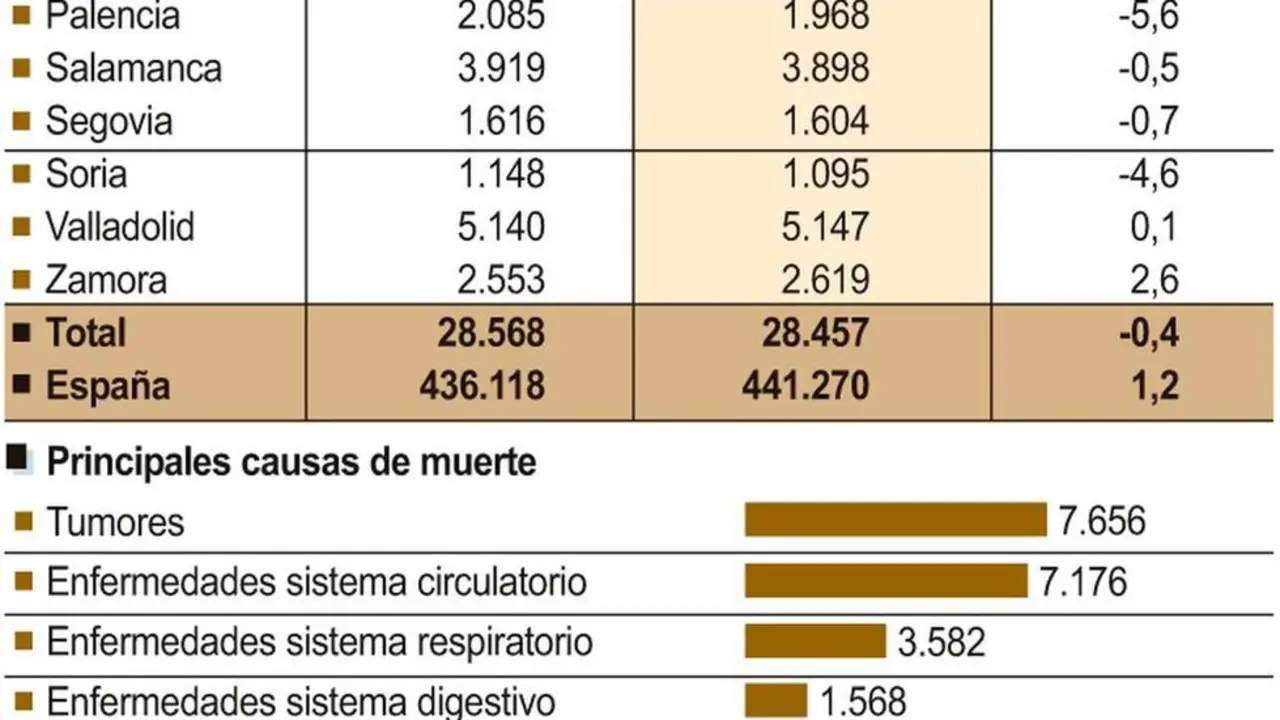 Defunciones y causas en Castilla y Le&oacute;n con datos provinciales.