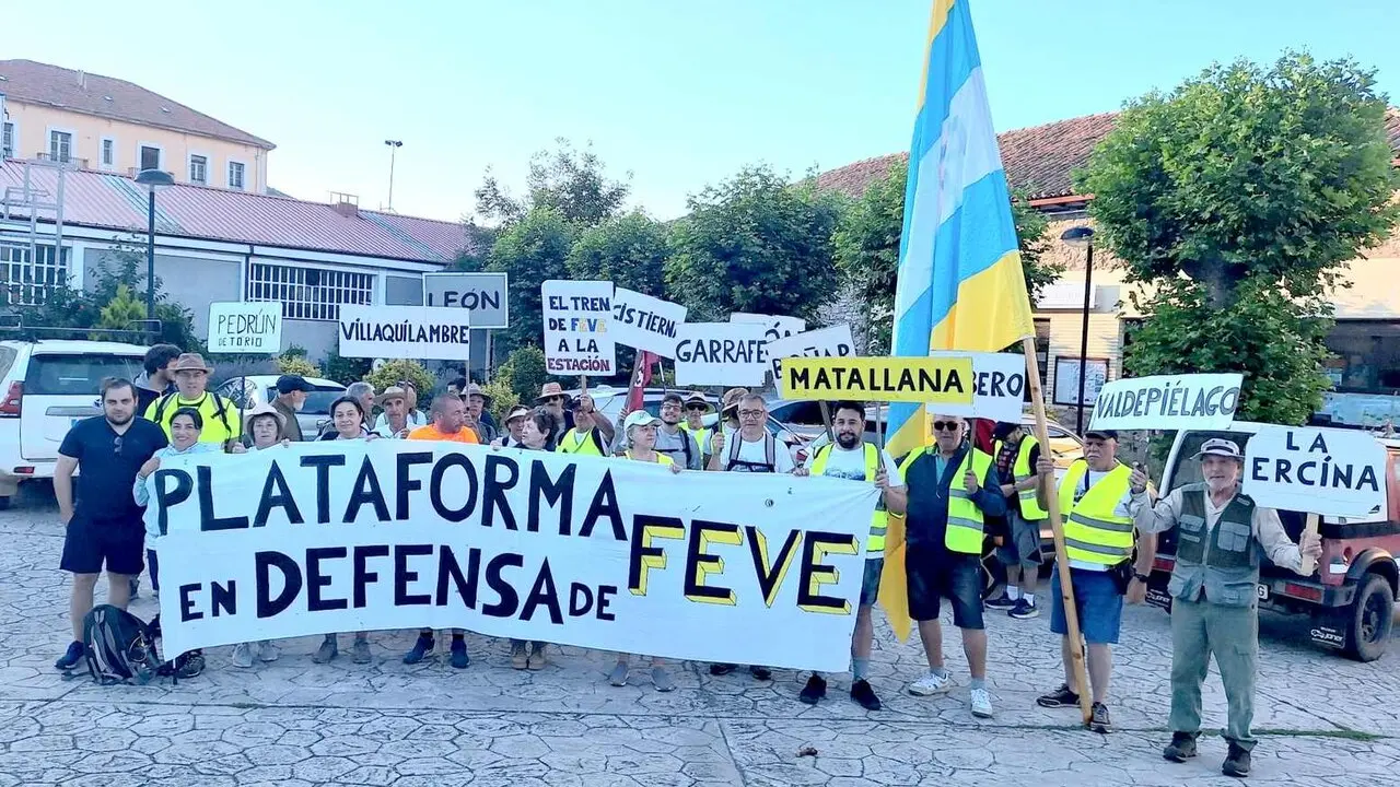 Feve