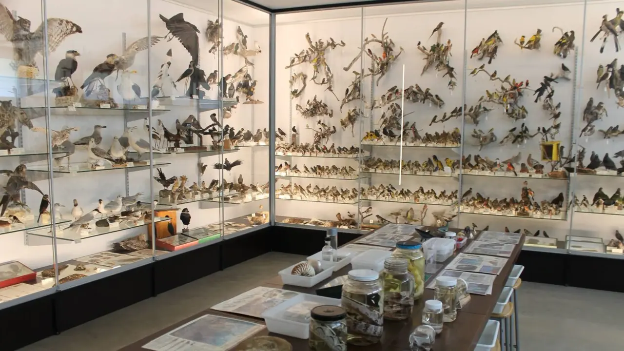 La ULE incorpora a su Museo de Colecciones fondos del de Ciencias Naturales Dominicos-Padre Arintero