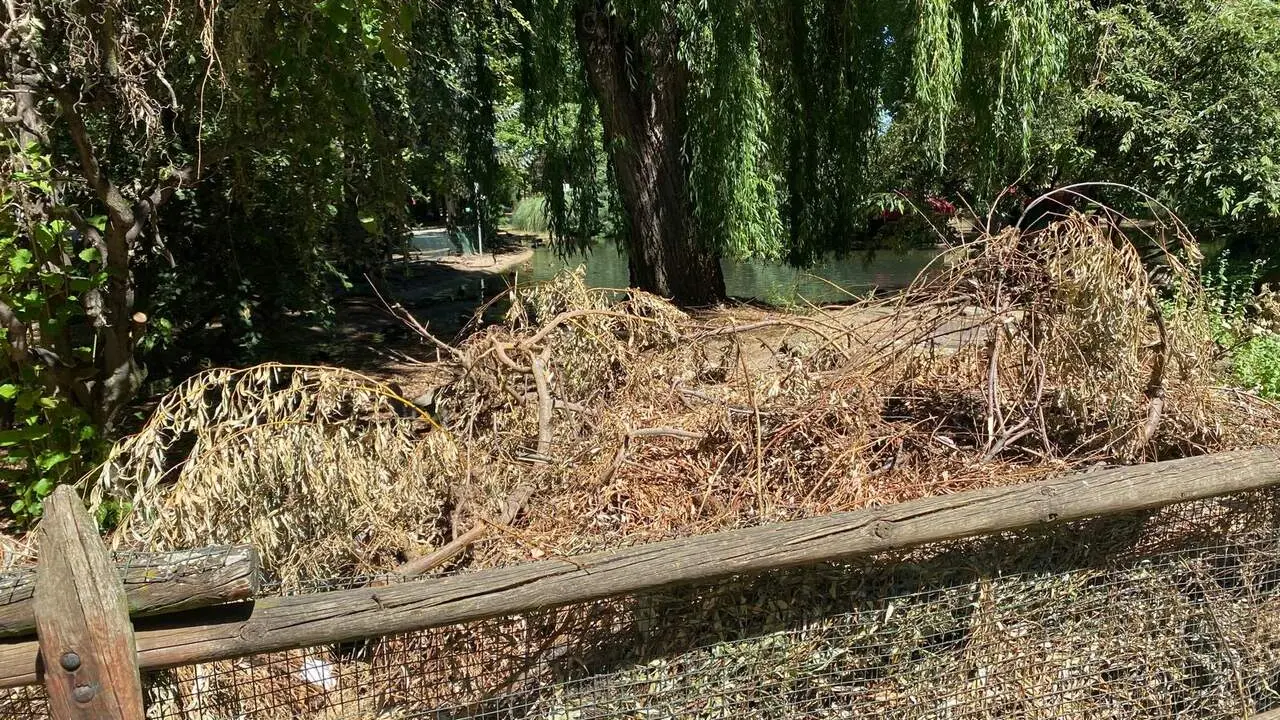 El PP denuncia que el Parque de Quevedo&nbsp;sufre un "creciente deterioro" que se observa en el estado de los caminos, la falta de mantenimiento y numerosas zonas con un aspecto deficiente y le aleja de la "excelencia" de &eacute;pocas anteriores. Fotos: PP de Le&oacute;n.