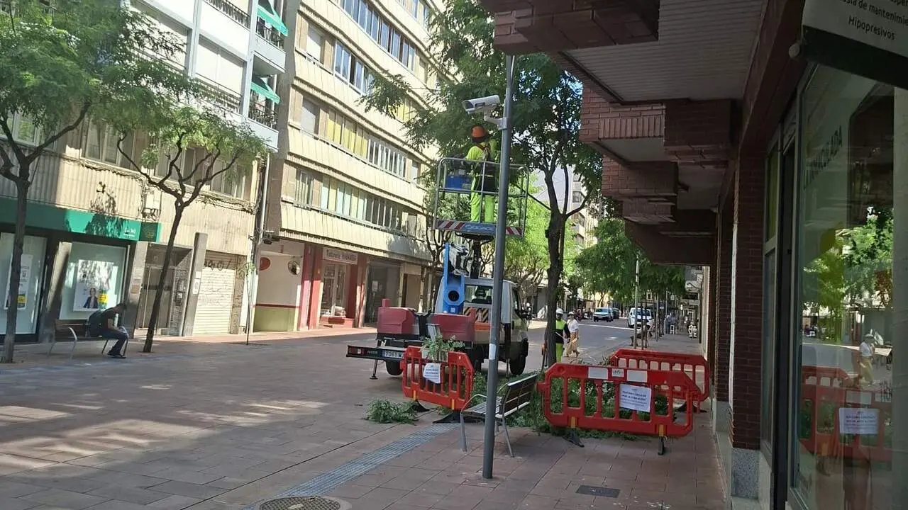 poda arboles