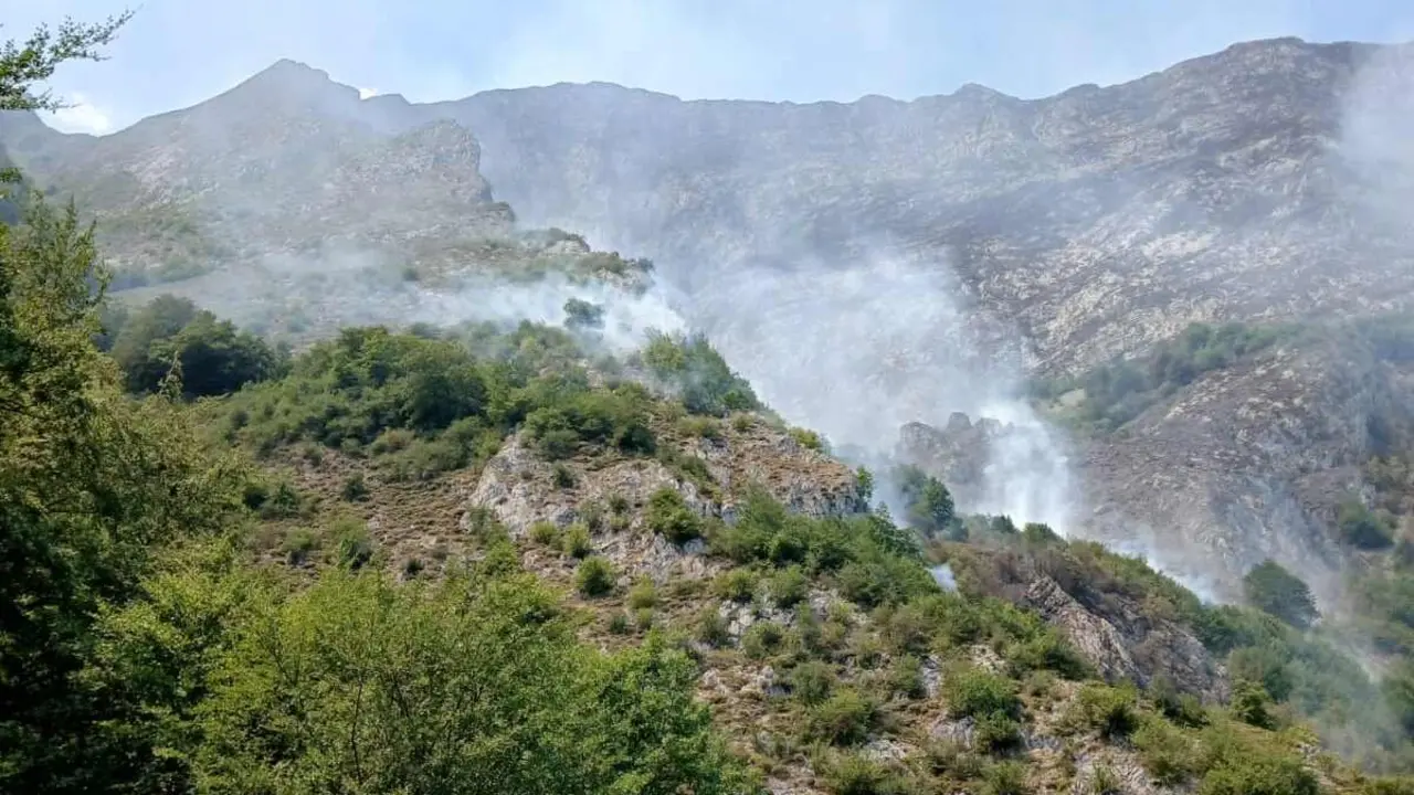 Ribota (3)
