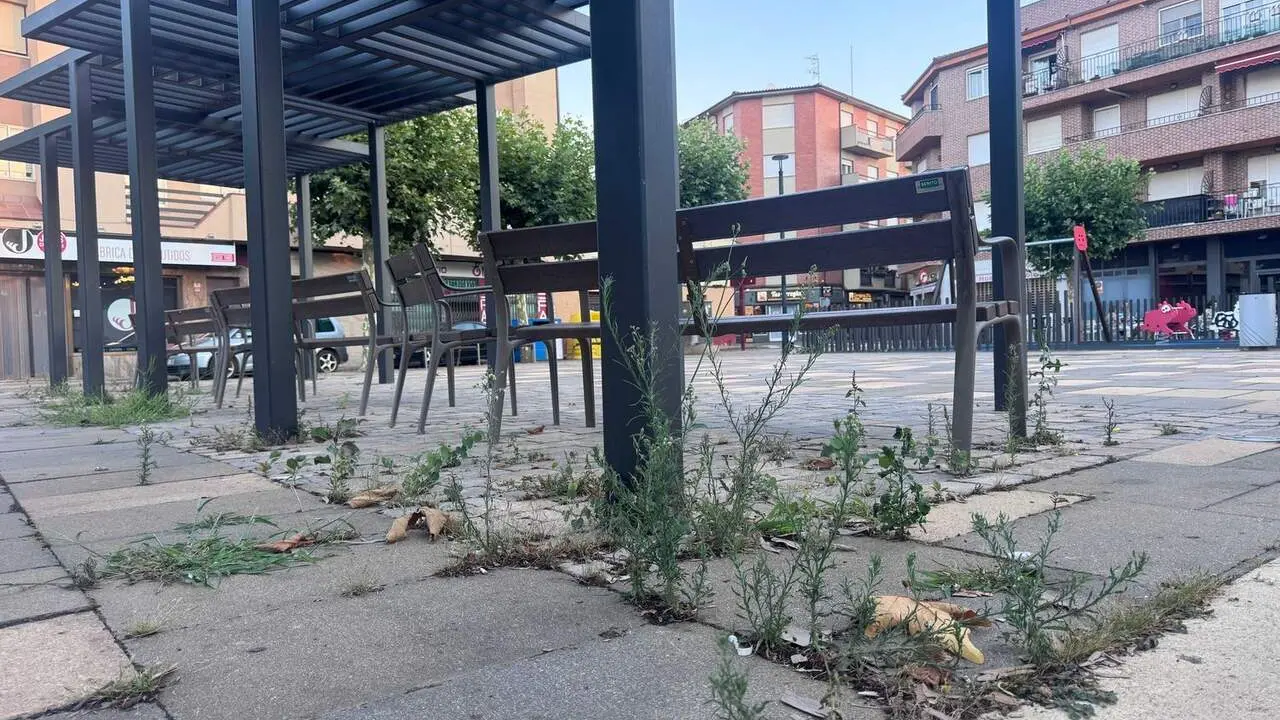 El PSOE de Valencia de Don Juan denuncia el "abandono" y la "suciedad" de calles y parques. Foto. PSOE.