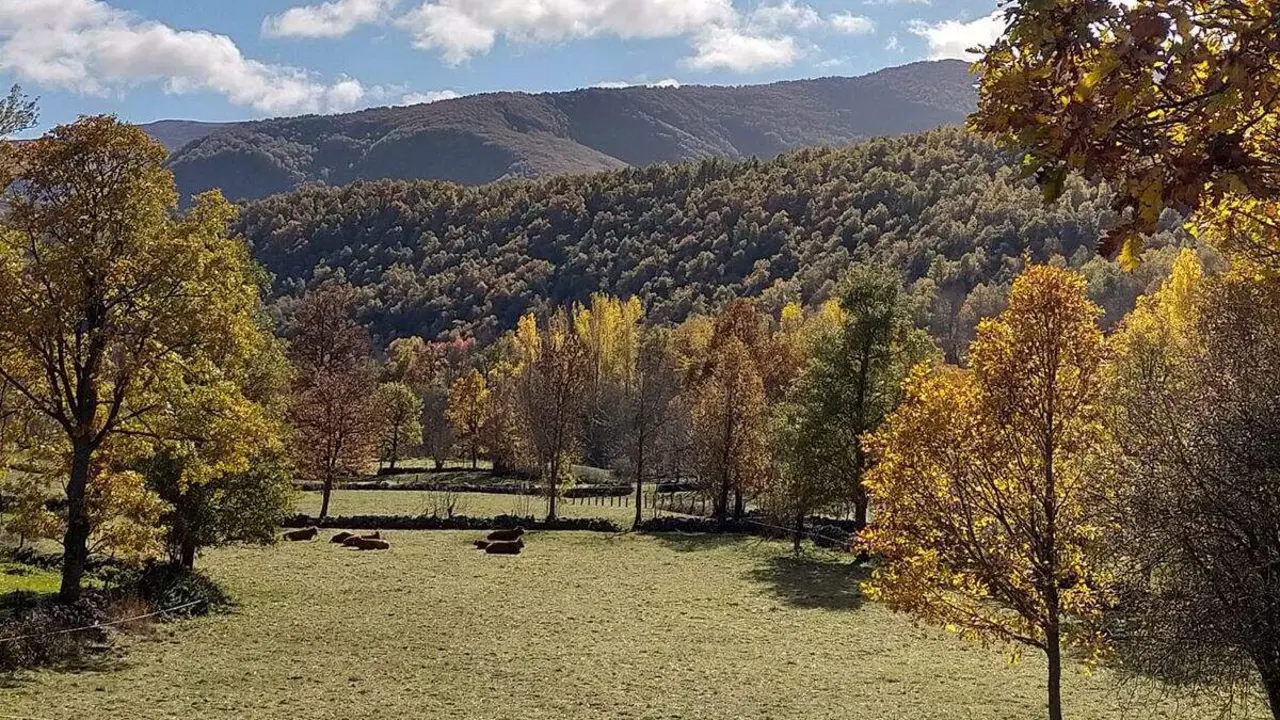 Sosas de Laciana