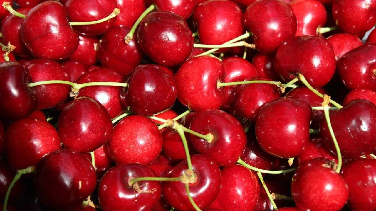 cereza del Bierzo