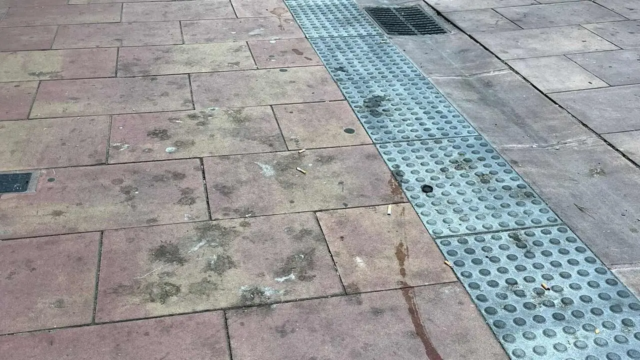 palomas2