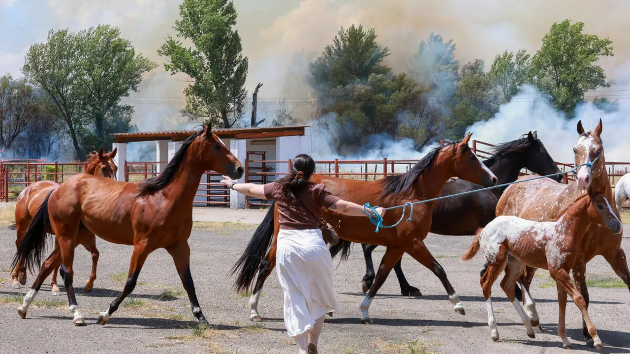 Incendio de nivel dos en Navatejera (Le&oacute;n)