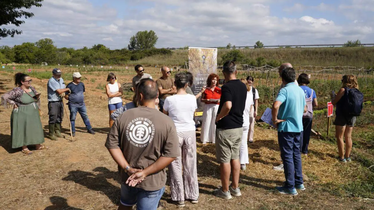 huertos  souto vivo (1)