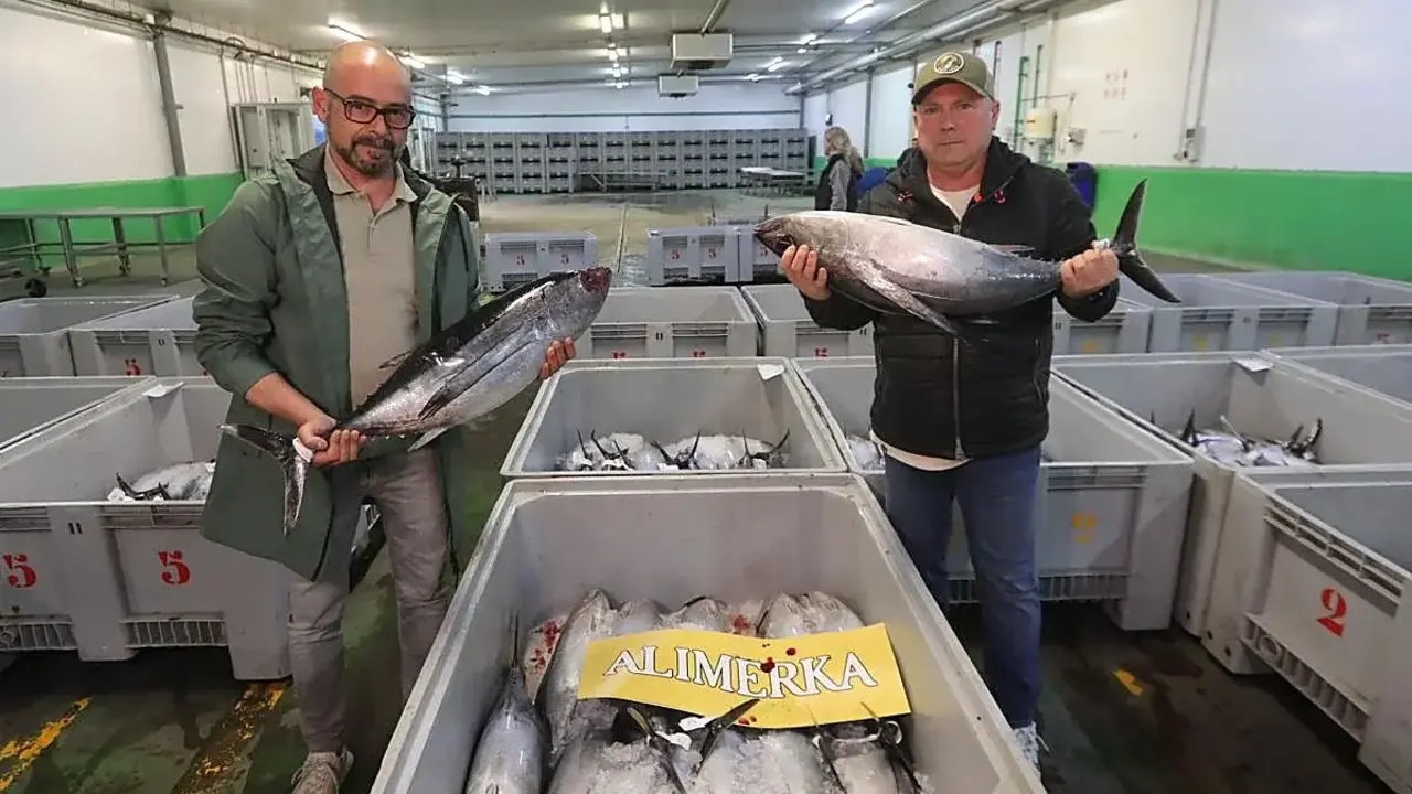 Bonito