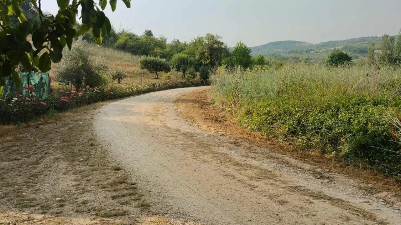 Desbroces Camino de Santiago, Campo, Escaril 3