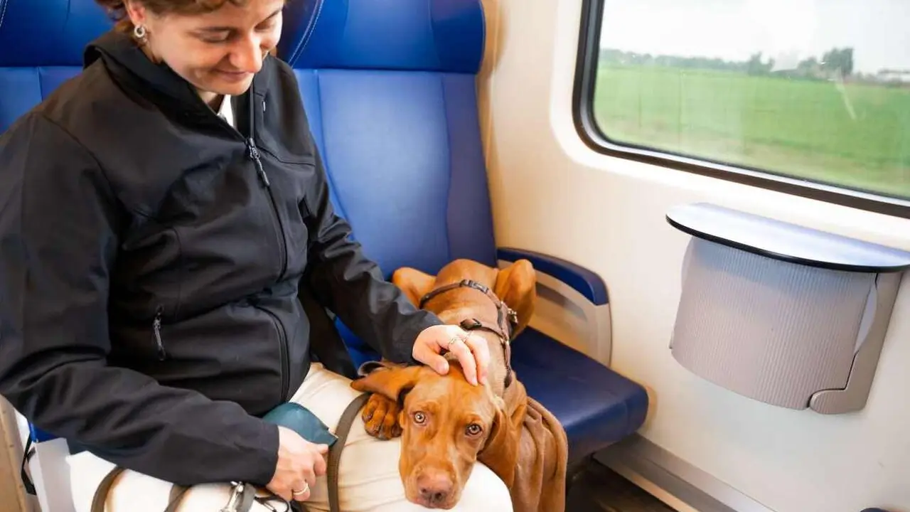 Renfe