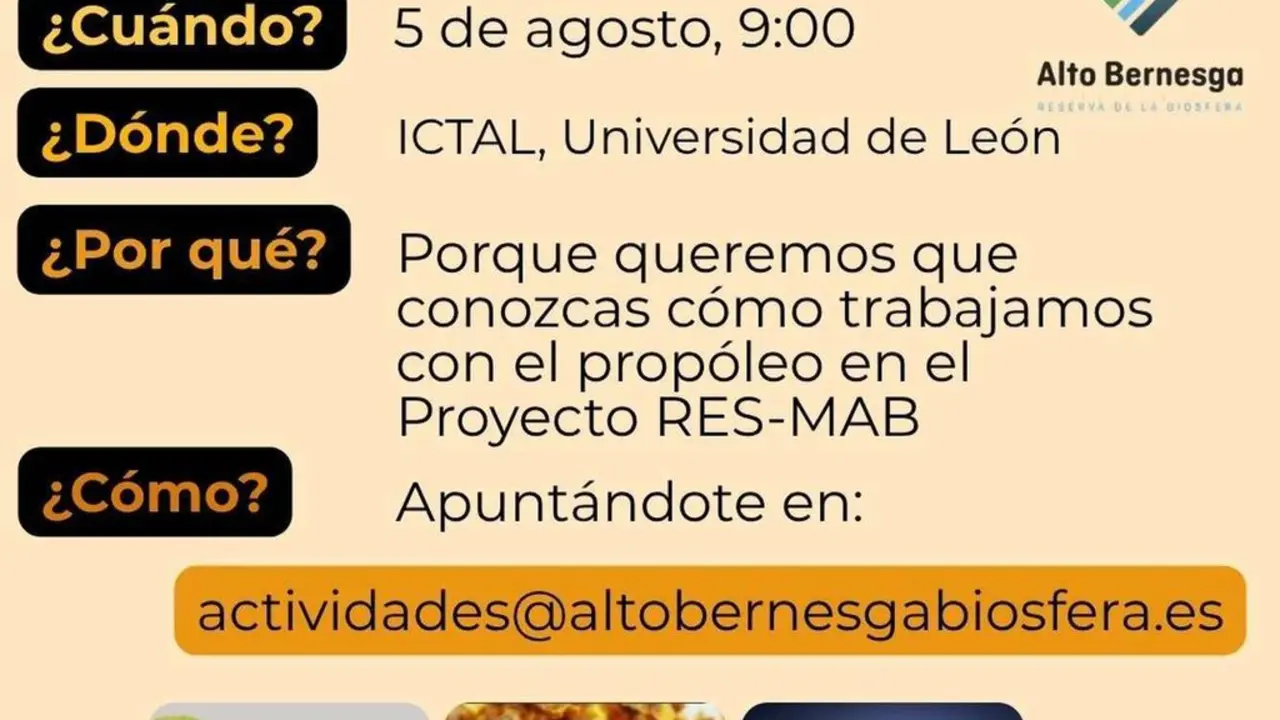Imagen del cartel promocional de la actividad.