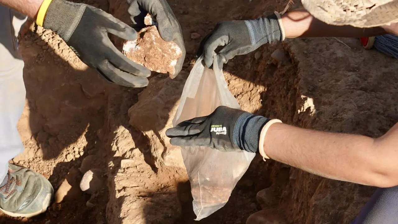 Los profesores de la Universidad de Le&oacute;n Raquel Mart&iacute;nez Pe&ntilde;&iacute;n y Carlos Fern&aacute;ndez Rodr&iacute;guez, directores de la campa&ntilde;a de excavaci&oacute;n arqueol&oacute;gica en el Castro de los Jud&iacute;os de Puente Castro, y la concejala de Acci&oacute;n y Promoci&oacute;n Cultural del Ayuntamiento de Le&oacute;n, Elena Aguado, dan a conocer los trabajos de campo que se han iniciado este verano en este yacimiento. Fotos: Campillo.