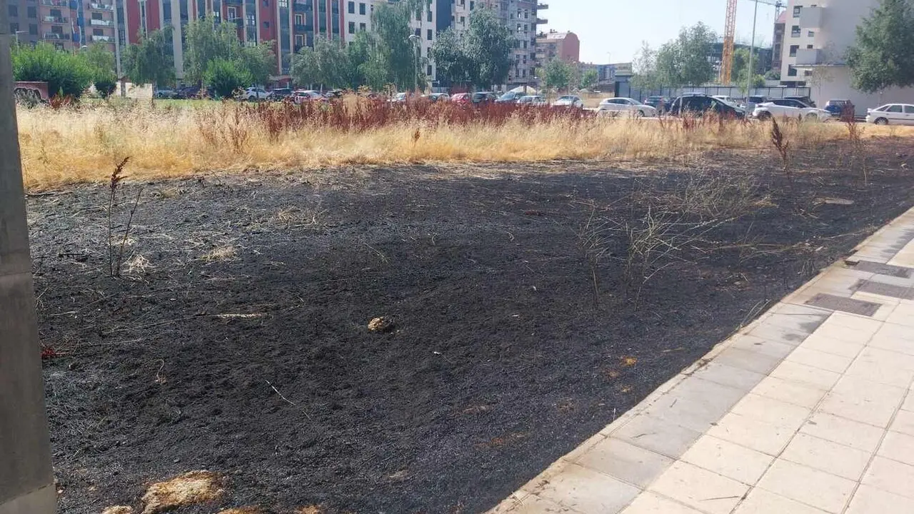 Imagen de una parte de la zona calcinada por las llamas en el barrio de La Lastra, en Le&oacute;n capital.