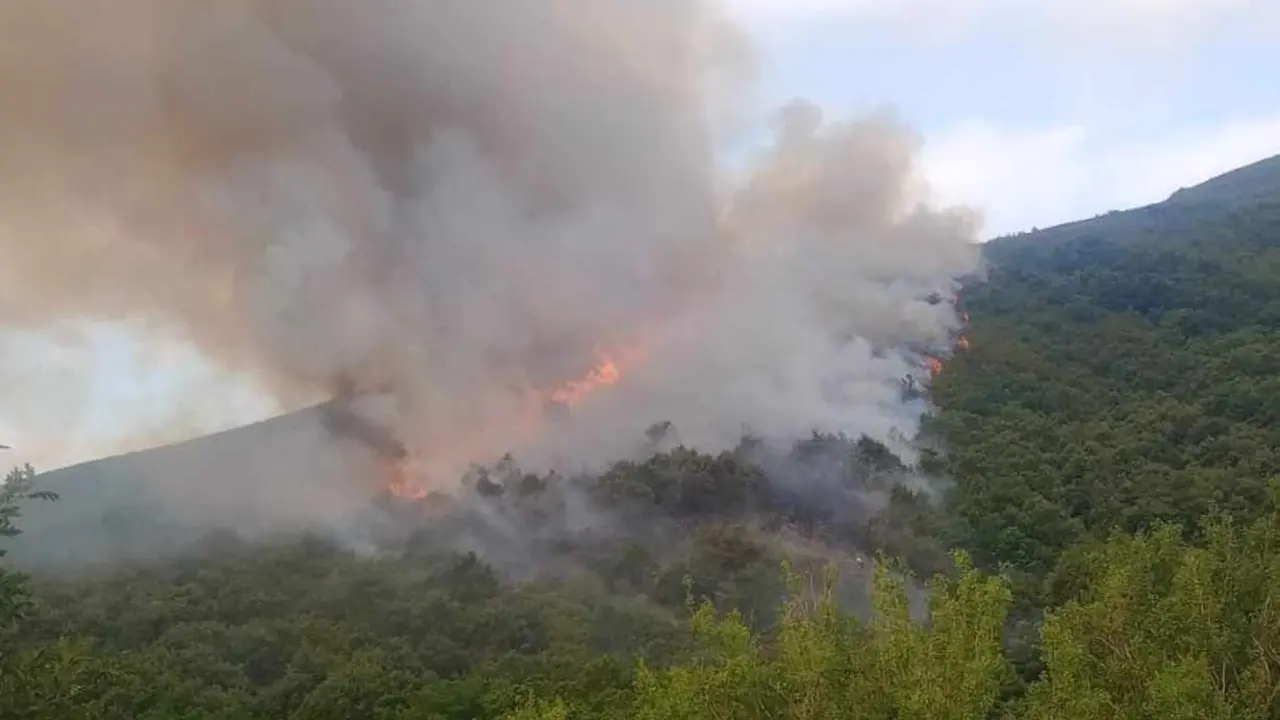 Imagen del incendio en la localidad de Quintela.