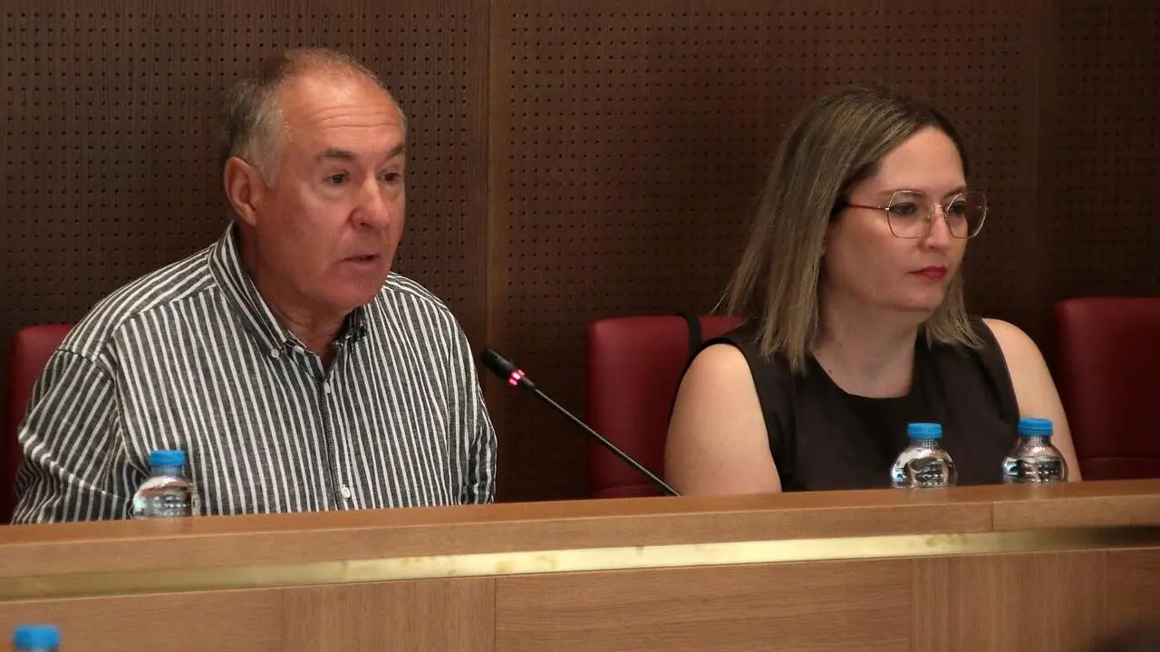 L&oacute;pez Sendino, este viernes, durante su intervenci&oacute;n en el pleno.