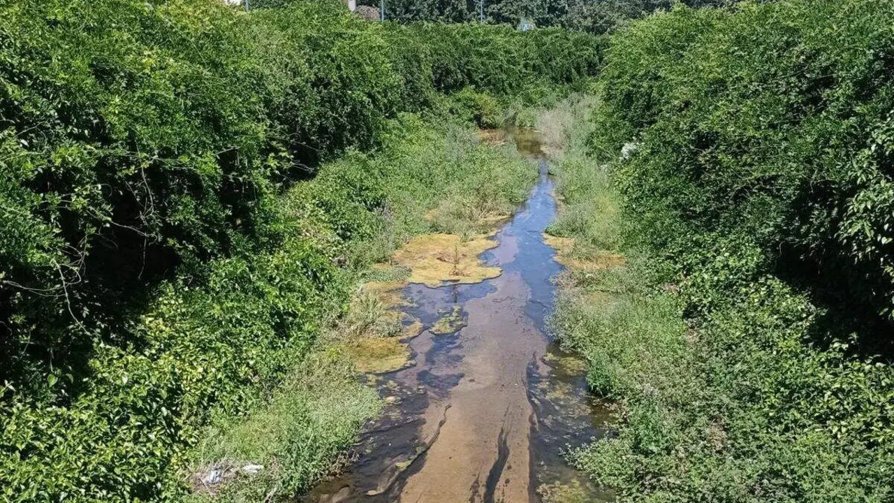 UPL reclama la urgente limpieza del cauce del Canal Carbosillo a su paso por el t&eacute;rmino municipal de Le&oacute;n. Foto: UPL.