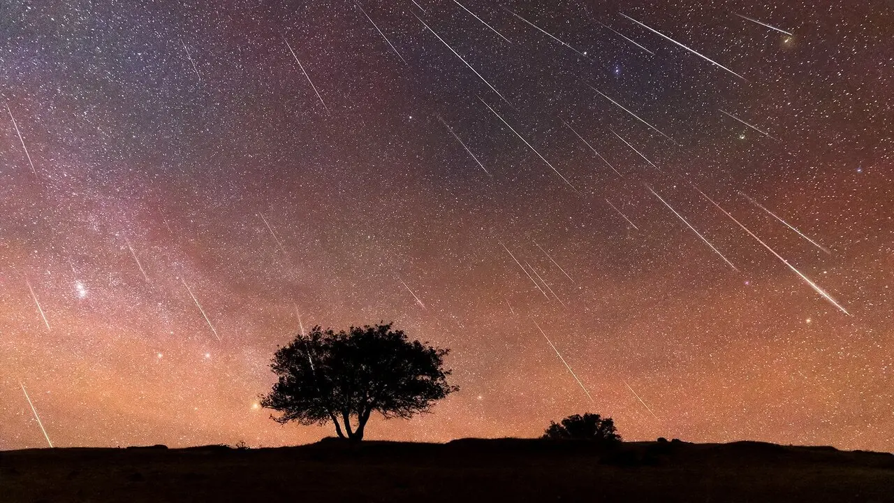 perseidas